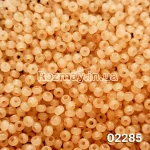 Бісер 02285 