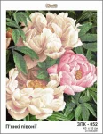 Пянкі півонії, ЗПК-052