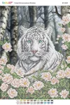 Тигр в квітах, БС-3463