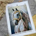 Сірий кінь, А3Н-574