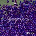  Бісер 31100
