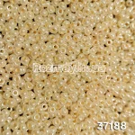 Бісер 37188 