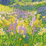 Схема під вишивку бісером "Сонячне поле" 