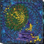 Набір для вишивки бісером "Чарівний громофон" 