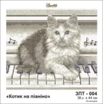 Котик на піаніно, ЗПТ-004