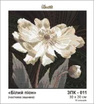 Біла півонія, ЗПК-011