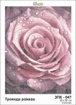 Троянда рожева, ЗПК-047