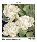 Білі махрові тюльпани, ЗПК-054