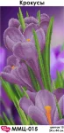 Крокуси, ММЦ-015
