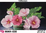 Гібіскус, ММН-030