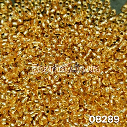 Бісер 08289