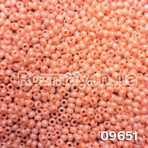 Бісер 09651