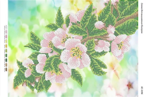 Квітуча гілка яблуні 