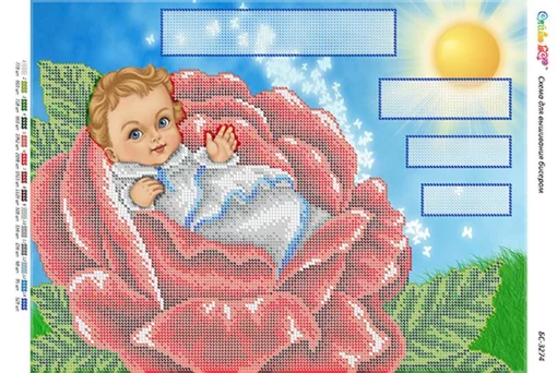 Метрика (хлопчик)