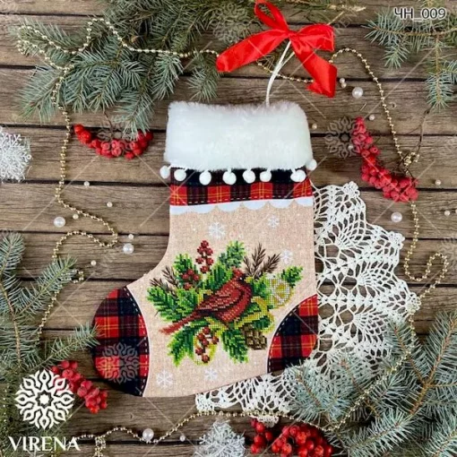 Чобіток ЧН 009