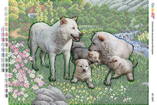 Сімейство вовків