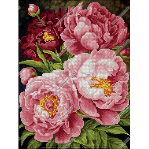 Аромат кохання, А3-К-098