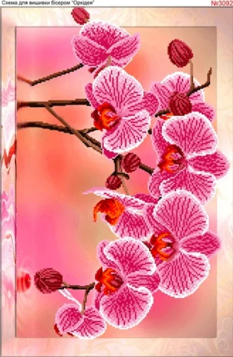 Схема для вишивки бісером  &laquo;Орхідея&raquo; (3092)