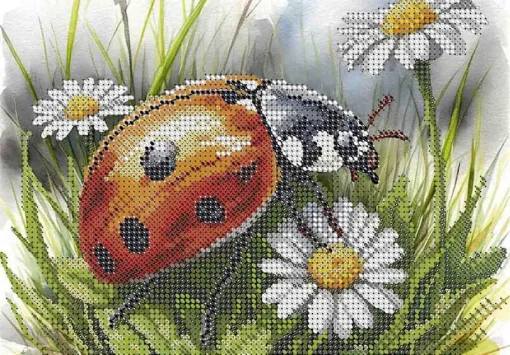 Сонечко, А5-Д-726