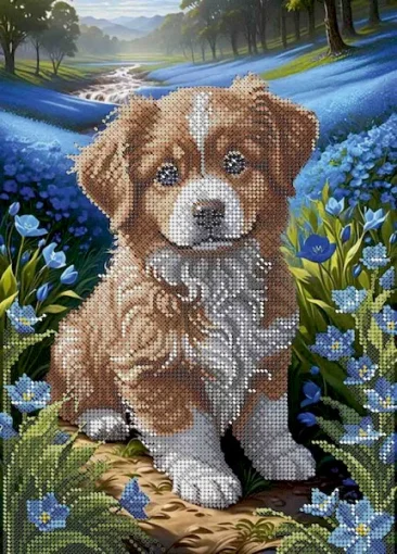Песик, А4-К-1521