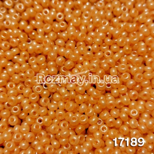 Бісер 17189