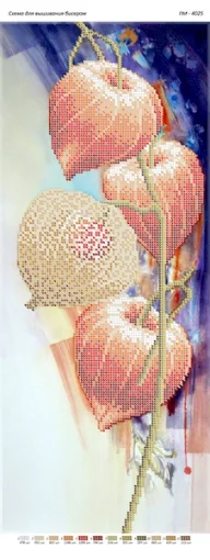 Фізаліс, ПМ-4025