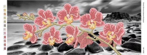 Орхідея-4, ПМ-4036