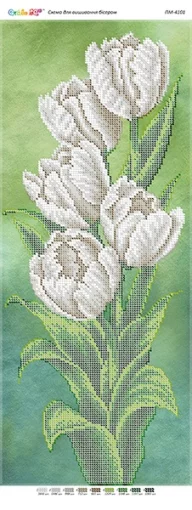 Білі тюльпани, ПМ-4101