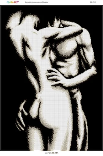 Силуети-2, БС-2119