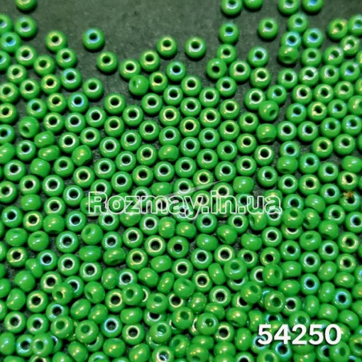 Бісер 54250