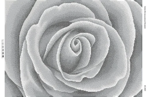 Троянда ч/б