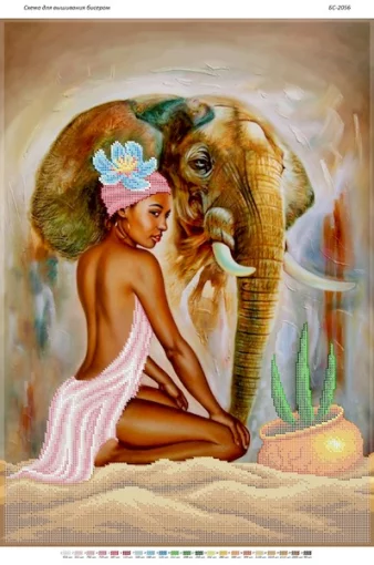 Африканський сюжет 