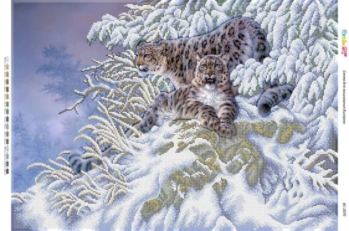 Сніжні барси 