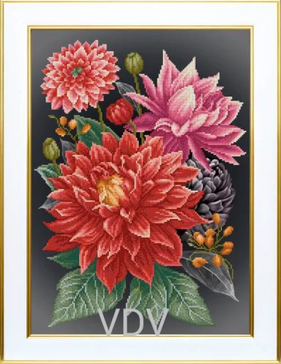 Жоржини, Т-1388