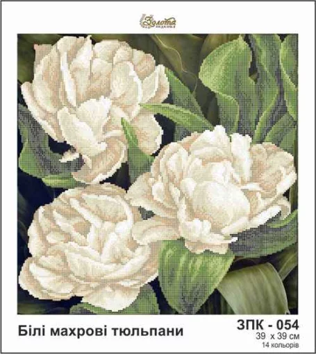 Білі махрові тюльпани, ЗПК-054