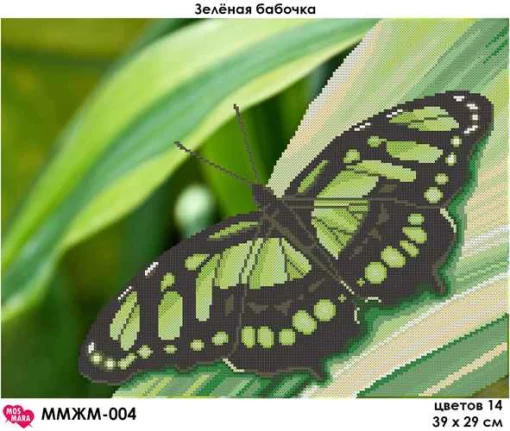 Зелений метелик, ММЖМ-004