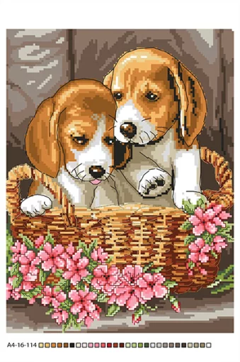 Цуцики, А4-16-114