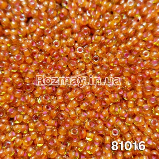 Бісер 81016